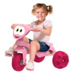 Triciclo Tonkiña Paseo y Pedal