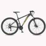 BIC FREE AC ARO 29 ALUM 21V MASC FLEXUS 3.0 DISK BRAKE GRAFITO/NARANJA